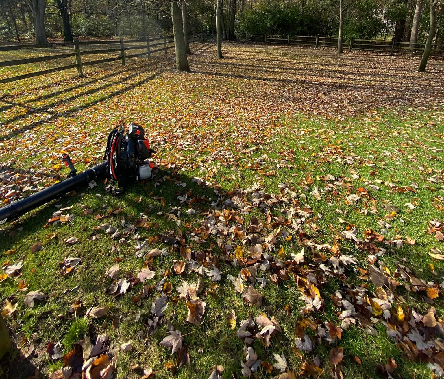 Property Clean Ups – Lenzi Hauling
