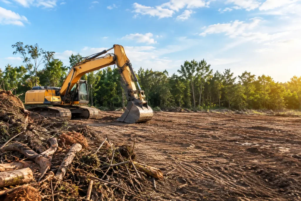 Land Clearing Services for a Ready-to-Build Site